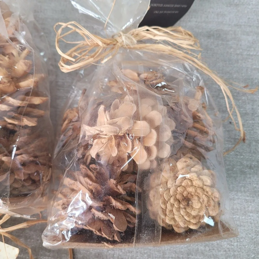Pottery Barn Small Bleached Pinecones 5 Bags Decorative Bowl or Vase Filler NEW